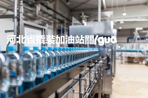 河北省撬裝加油站關(guān)鍵技術(shù)突破！化工廠拆除工程的新方法探索？